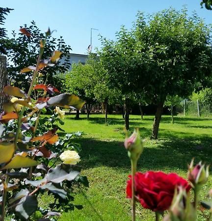 Apartment Cecilia Κοπρίβνιτσα Δωμάτιο φωτογραφία