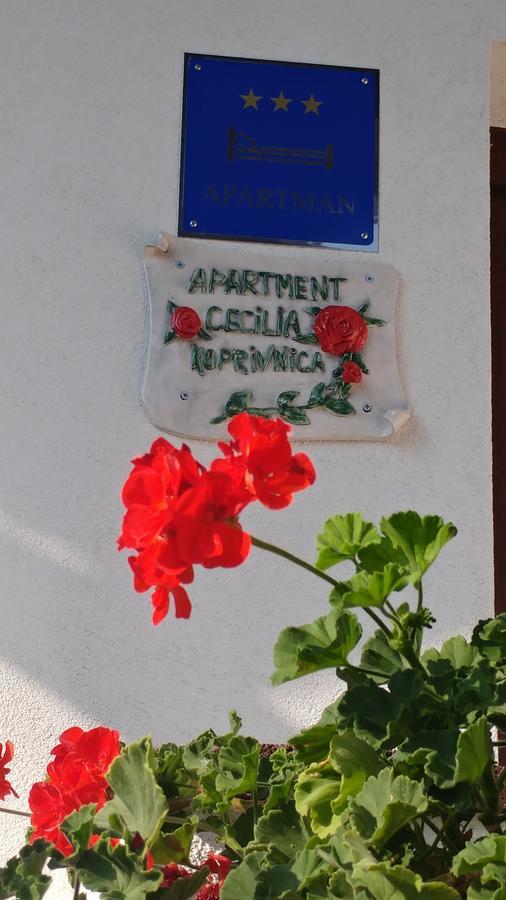 Apartment Cecilia Κοπρίβνιτσα Εξωτερικό φωτογραφία